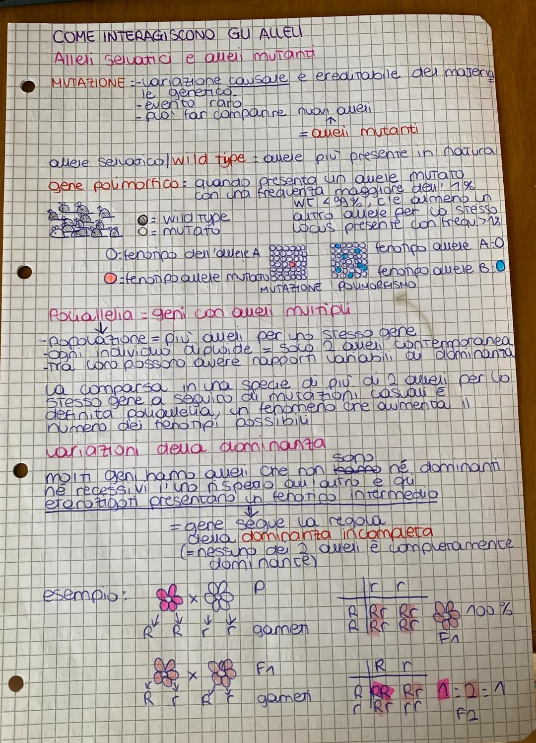 # GENETICA
## LE LEGGI I MENDEL
da mendel ai model, di
ereditaneta
Gregor Mendel e ca gerenca deu 800
Genetica: Studio delle legg e dei me