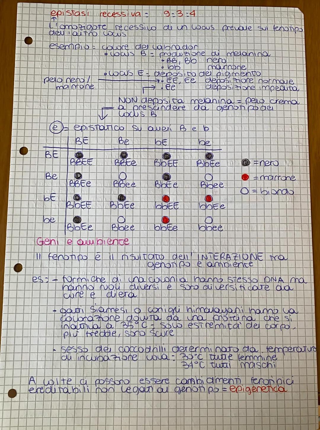 # GENETICA
## LE LEGGI I MENDEL
da mendel ai model, di
ereditaneta
Gregor Mendel e ca gerenca deu 800
Genetica: Studio delle legg e dei me