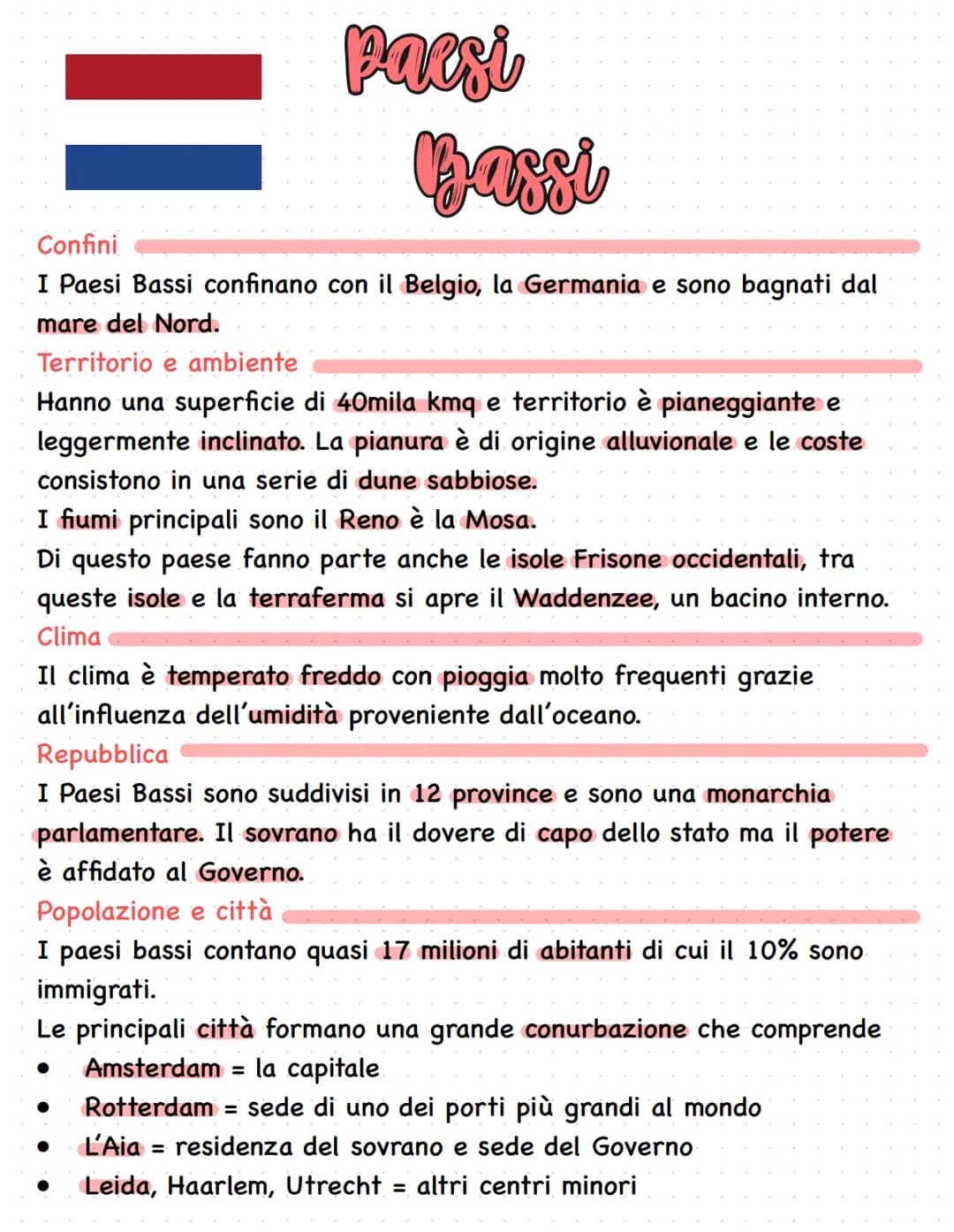 # Economia
La posizione del paese, favorevole a scambi internazionali, ha permesso ai Paesi Bassi di dotarsi di una struttura economica molt