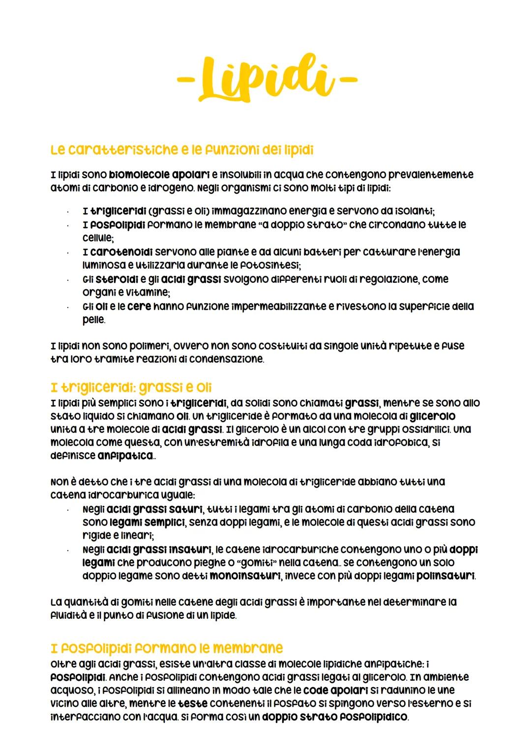 -Lipidi-
Le caratteristiche e le funzioni dei lipidi
I lipidi sono biomolecole apolari e insolubili in acqua che contengono prevalentemente