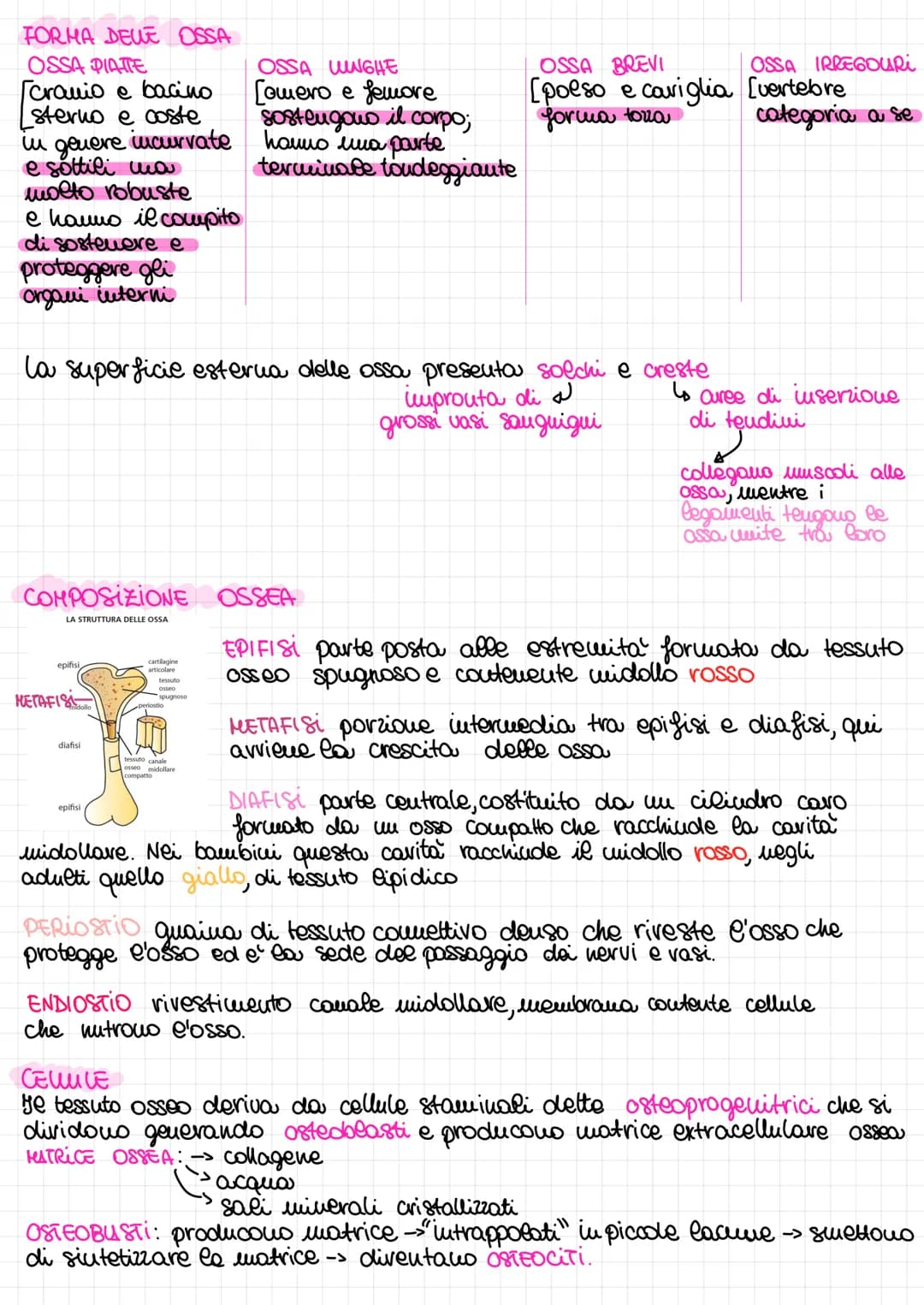 ## APPARATO
## LOCOMOTORE
### SISTEMA SCHELETRICO
Insieme di ossa, articolazioni e cartilagini
Scheletro: fa muovere il corpo, mantiene ne