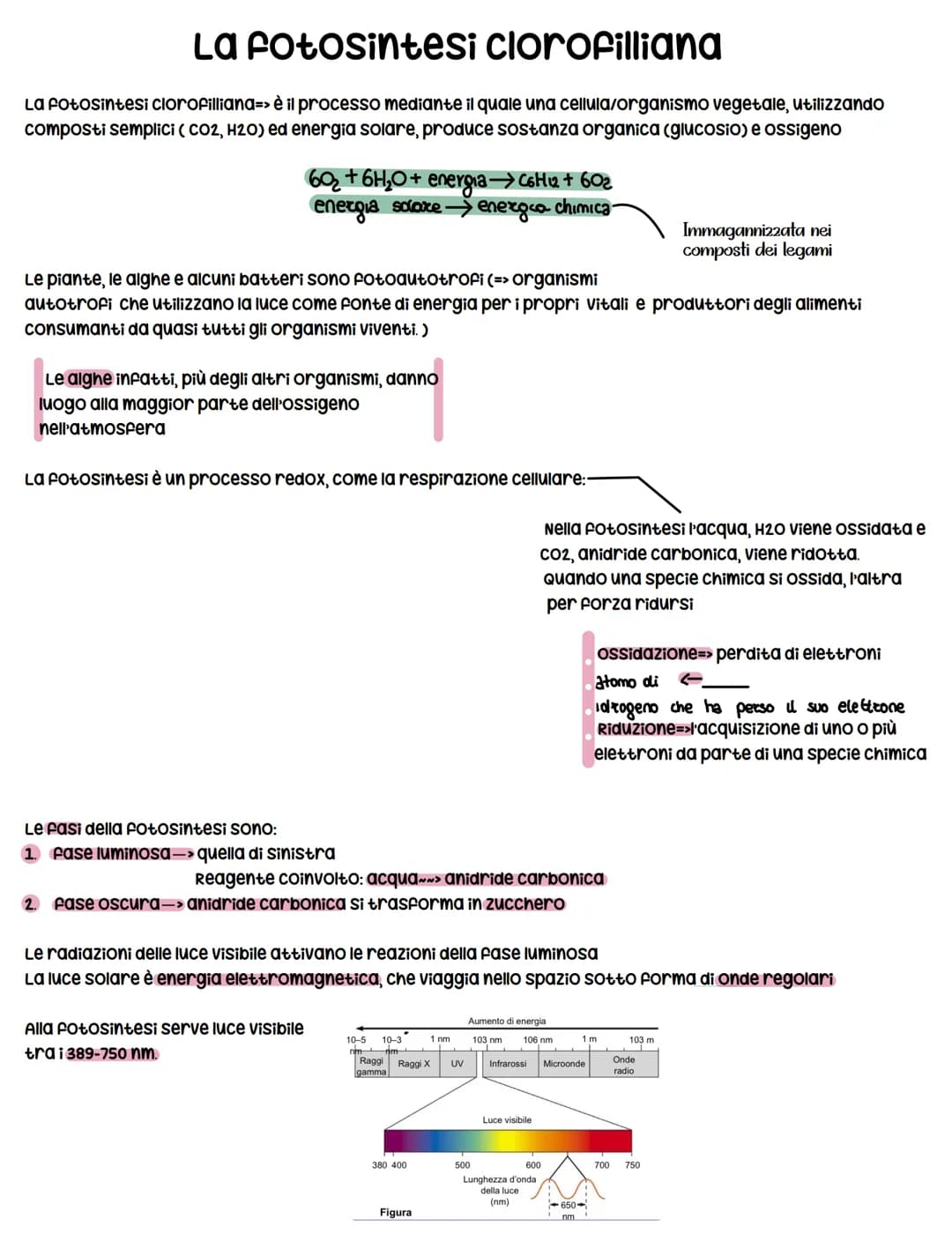 # La fotosintesi clorofilliana
La fotosintesi clorofilliana=> è il processo mediante il quale una cellula/organismo vegetale, utilizzando co