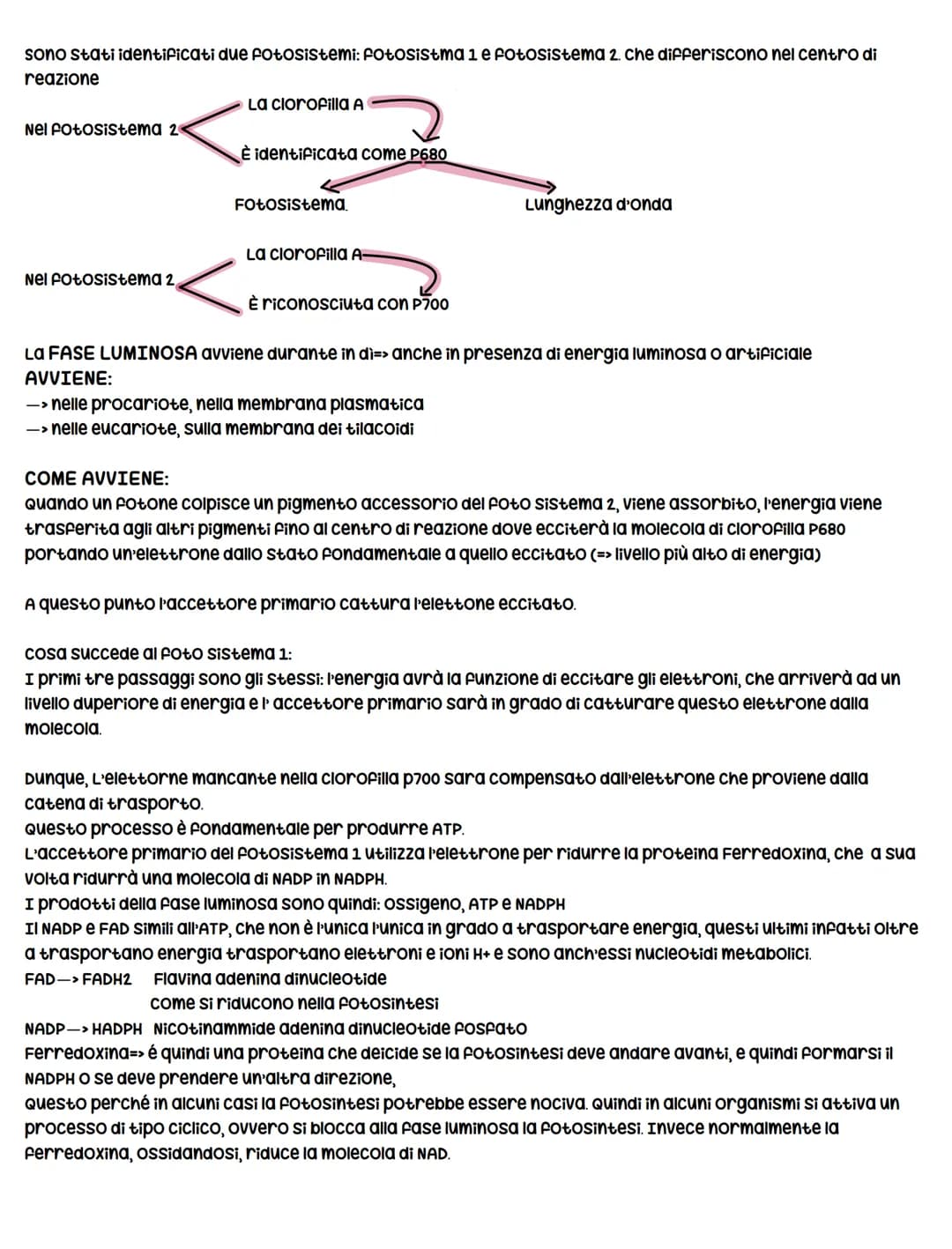 # La fotosintesi clorofilliana
La fotosintesi clorofilliana=> è il processo mediante il quale una cellula/organismo vegetale, utilizzando co