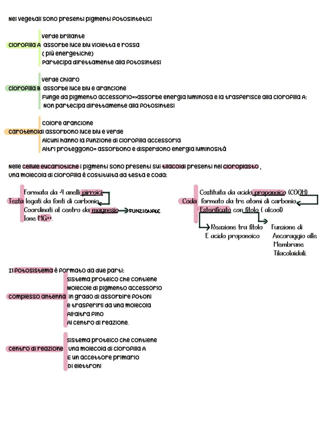 # La fotosintesi clorofilliana
La fotosintesi clorofilliana=> è il processo mediante il quale una cellula/organismo vegetale, utilizzando co