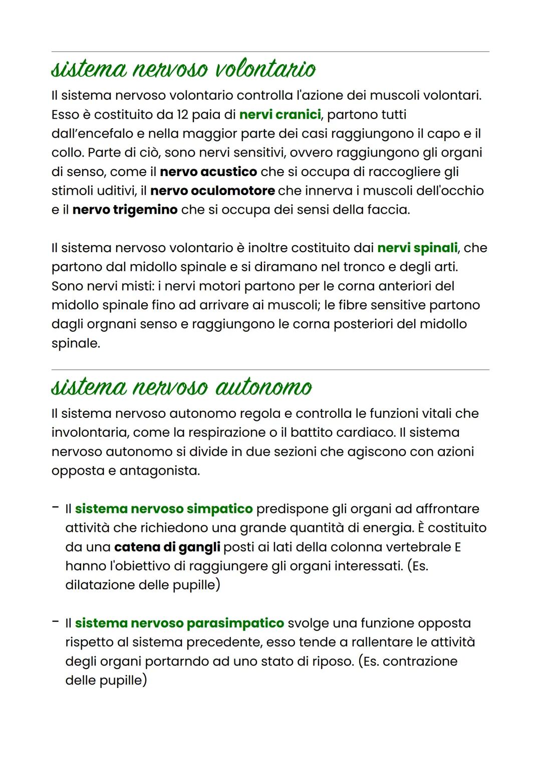 sistema nervoso
periferico
Il sistema nervoso periferico controlla tutte le attività muscolari e
invia al cervello tutte le sensazioni dell'