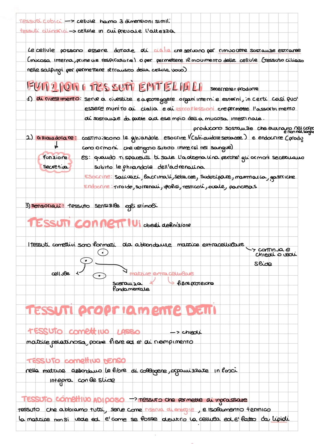 # Anatomia
alcune cose da integrare con le slide della prof
- anatomia: com'e' fatto...
- FISIOLOGIA: come funziona in modo ottimale
- PATO