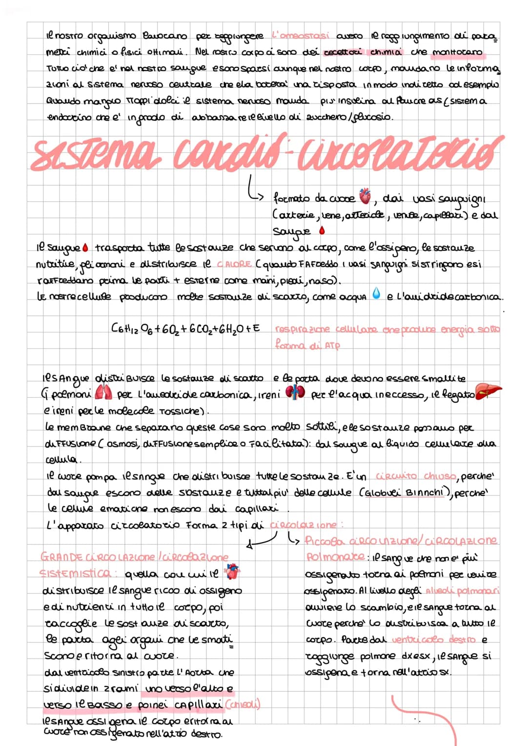 # Anatomia
alcune cose da integrare con le slide della prof
- anatomia: com'e' fatto...
- FISIOLOGIA: come funziona in modo ottimale
- PATO