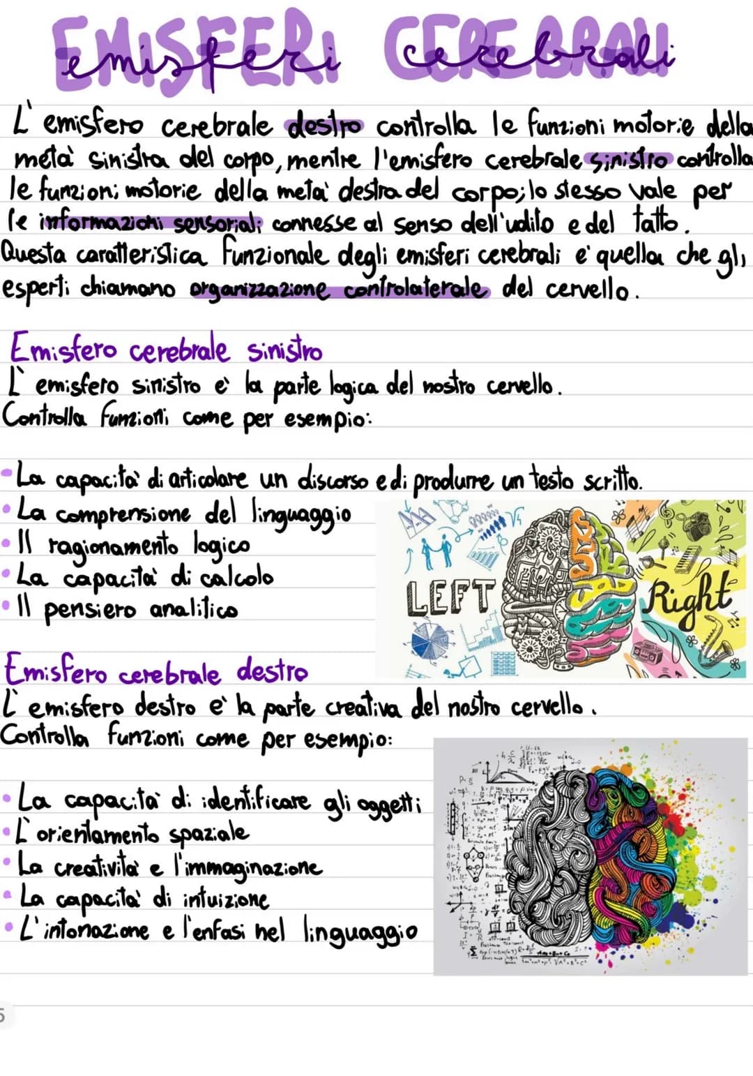 # EMISFERI CEREBRALI
L'emisfero cerebrale destro controlla le funzioni motorie della metà sinistra del corpo, mentre l'emisfero cerebrale si