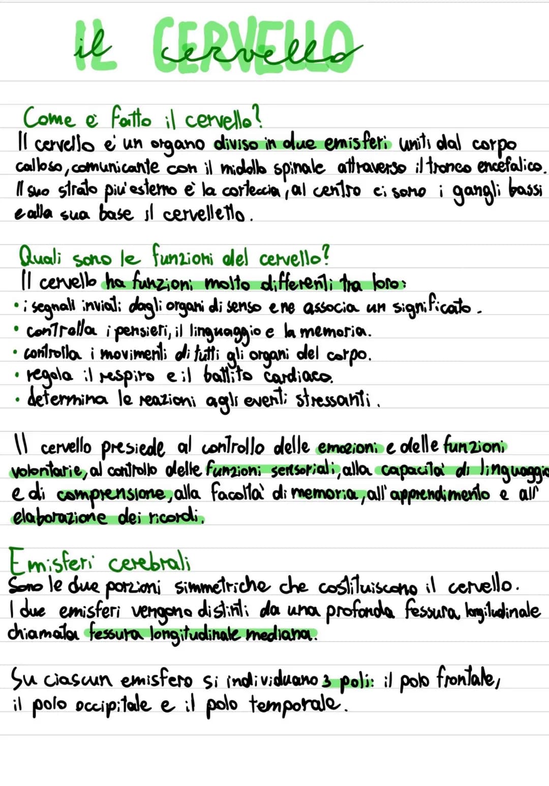 # EMISFERI CEREBRALI
L'emisfero cerebrale destro controlla le funzioni motorie della metà sinistra del corpo, mentre l'emisfero cerebrale si