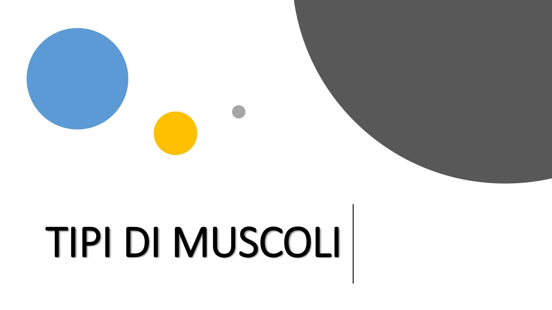 MUSCOLI E
CORPO UMANO I MUSCOLI sono degli
organi presenti in GRAN
NUMERO nel nostro
corpo, ci permettono di
COMPIERE I MOVIMENTI. TIPI DI M