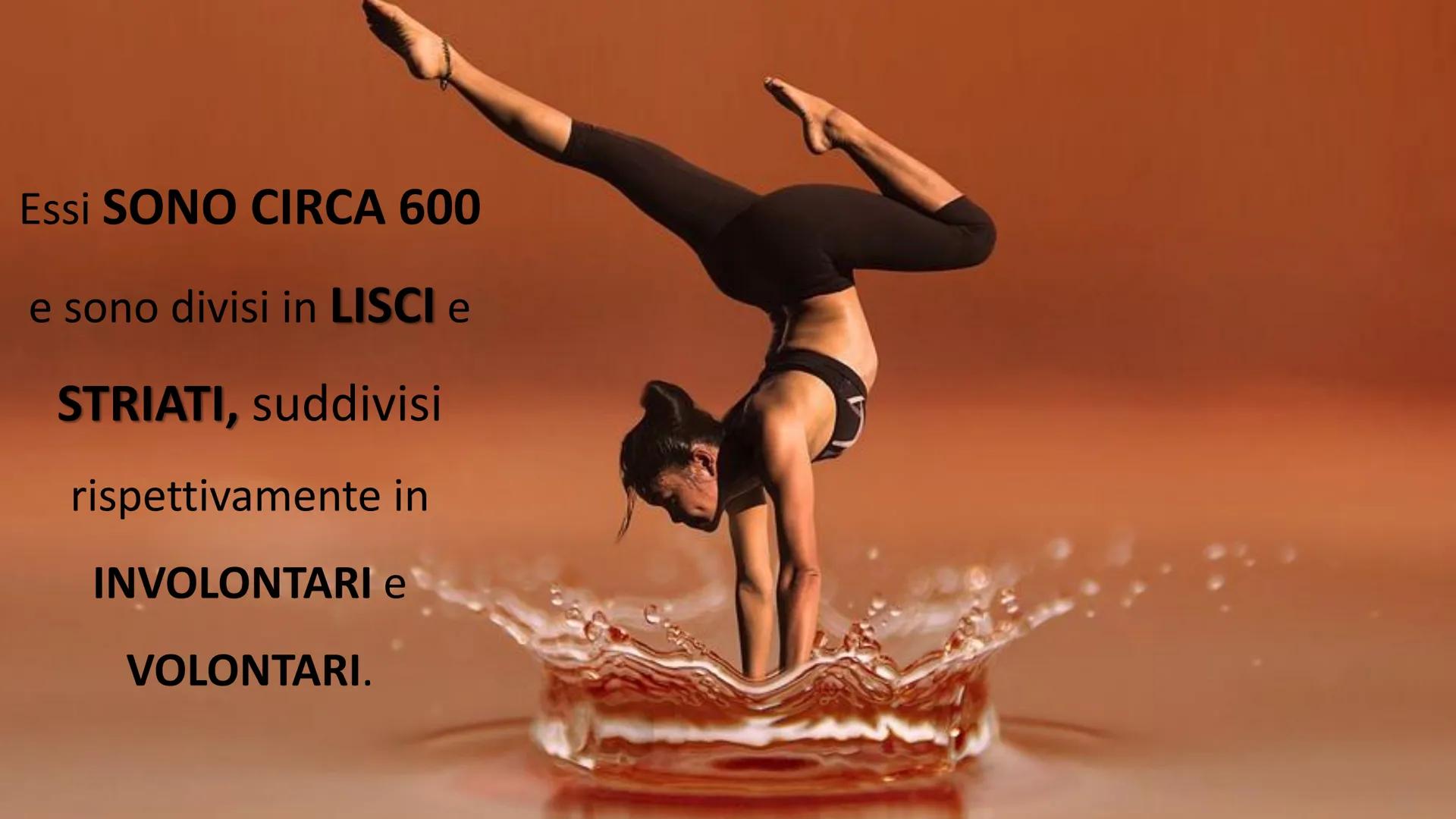 MUSCOLI E
CORPO UMANO I MUSCOLI sono degli
organi presenti in GRAN
NUMERO nel nostro
corpo, ci permettono di
COMPIERE I MOVIMENTI. TIPI DI M