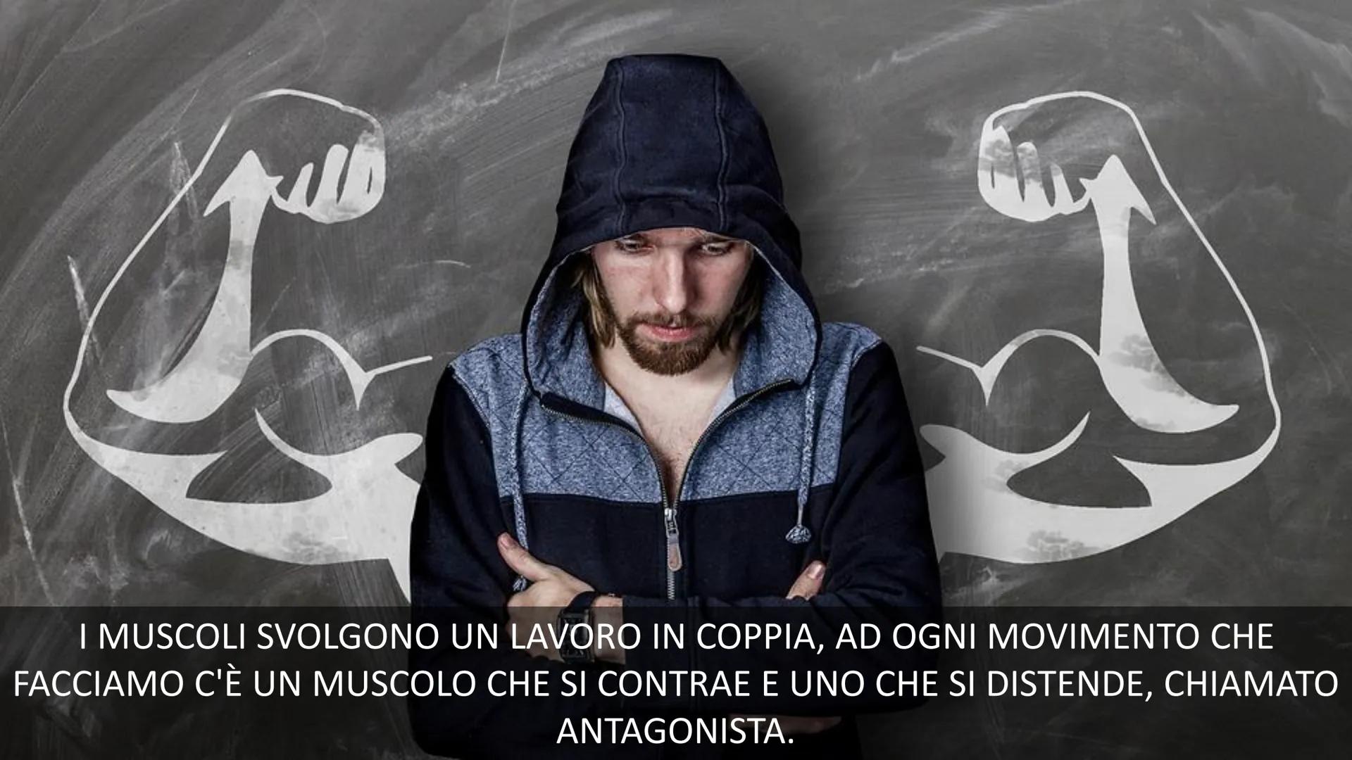 MUSCOLI E
CORPO UMANO I MUSCOLI sono degli
organi presenti in GRAN
NUMERO nel nostro
corpo, ci permettono di
COMPIERE I MOVIMENTI. TIPI DI M