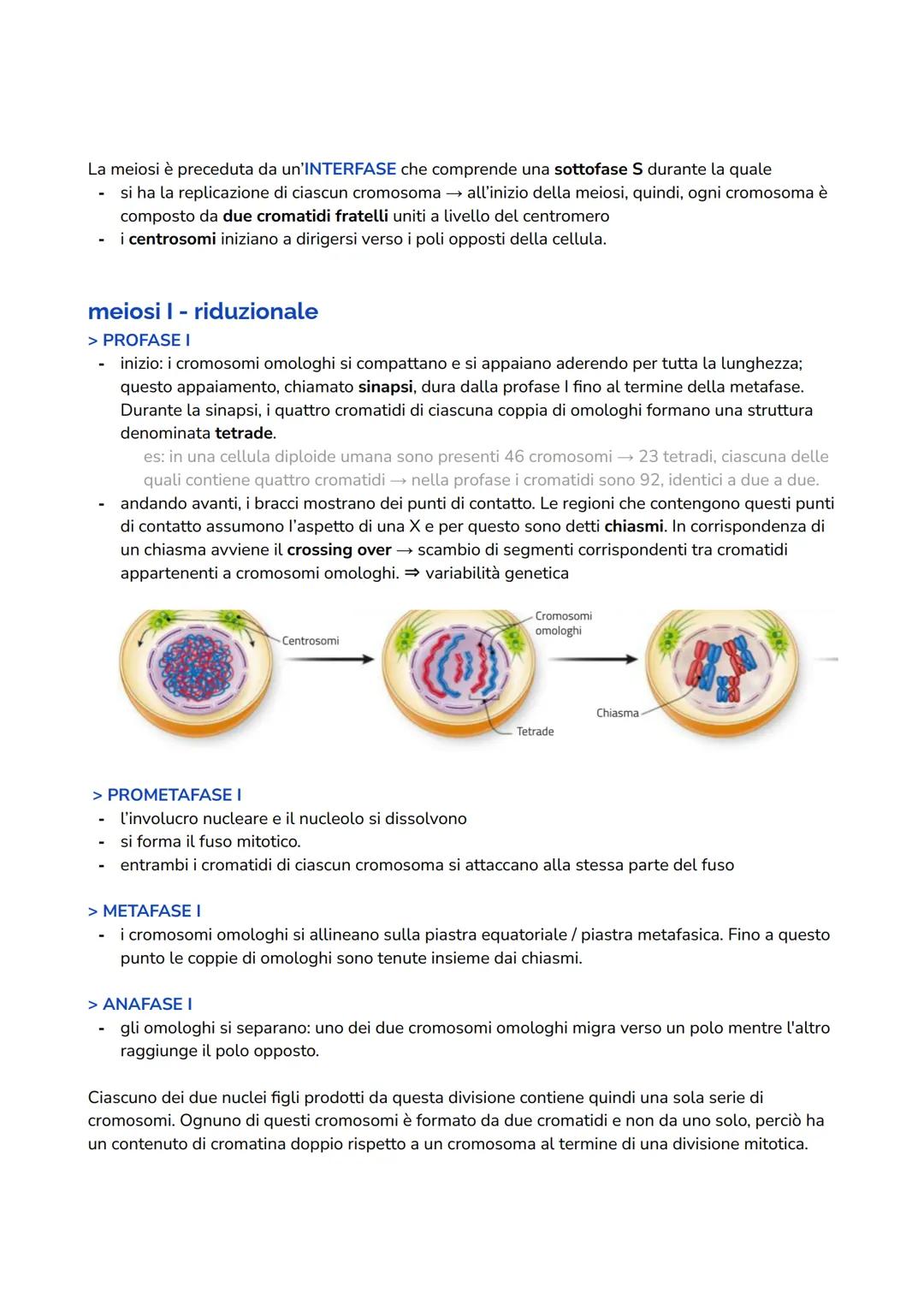 # MEIOSI
introduzione
La riproduzione sessuata produce organismi che non sono geneticamente identici ai genitori.
L'organismo figlio si sv
