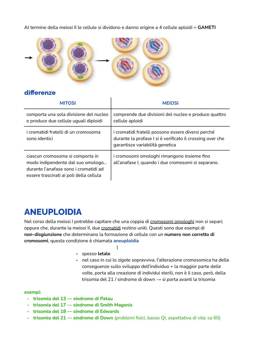 # MEIOSI
introduzione
La riproduzione sessuata produce organismi che non sono geneticamente identici ai genitori.
L'organismo figlio si sv