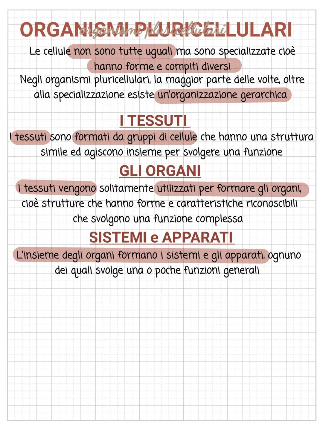 LA CELLULA
È la struttura più semplice in grado di svolgere tutte le
funzioni vitali. Gli organismi in base alla quantità di cellule da
cui