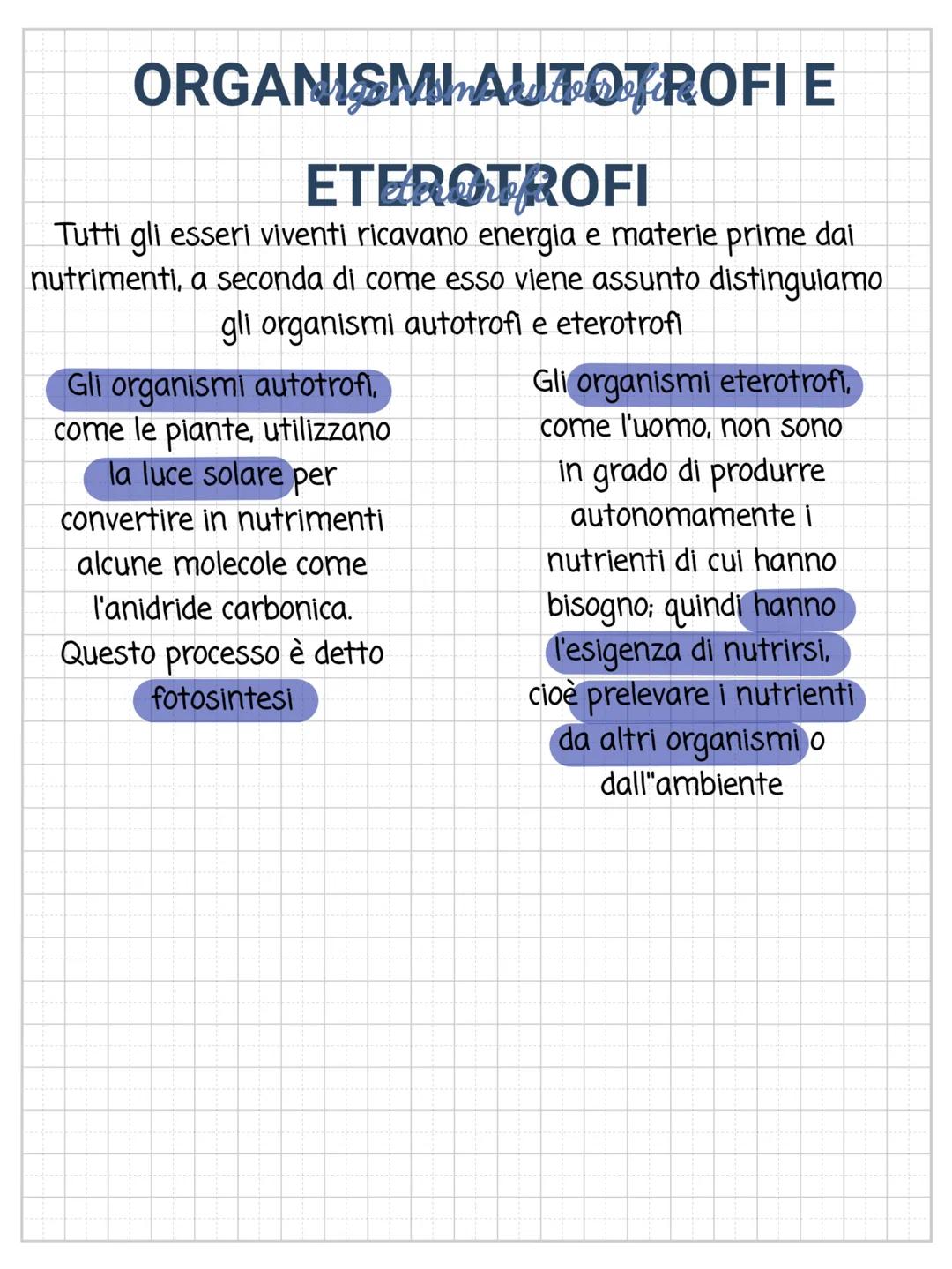 LA CELLULA
È la struttura più semplice in grado di svolgere tutte le
funzioni vitali. Gli organismi in base alla quantità di cellule da
cui