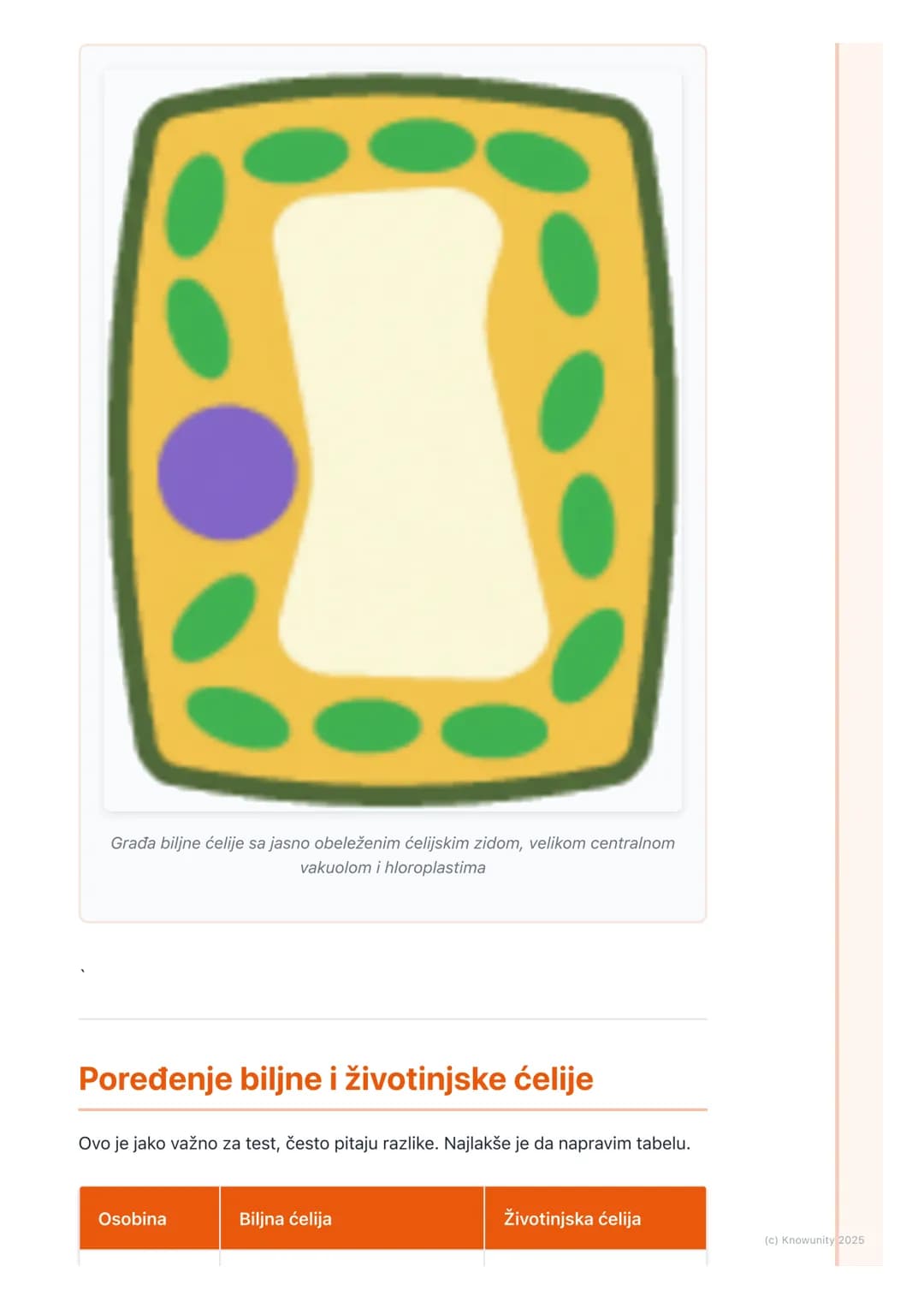 # Građa ćelije
## Uvod u građu ćelije
Sve ćelije, bez obzira da li su biljne ili životinjske, imaju neku osnovnu,
zajedničku građu. One su