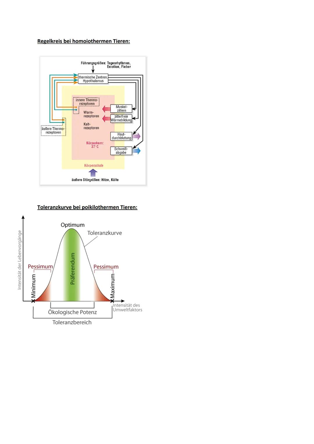 # Ökologie
Definition:
- Wechselwirkungen zwischen Organismen und ihrer Umwelt
- Beziehungen der Organismen untereinander
- Einflüsse von
