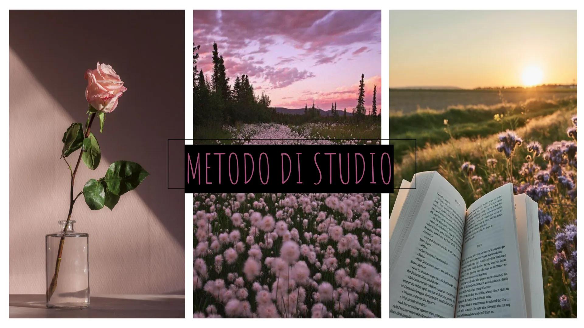 METODO DI STUDIO
*Cook?
sagte er
Gott. Sie ka
hatte. Wie uncost war
y co
gen, und dann w
die sagtware
a verda
1 od
ist nicht 75
Ache
Dani
Mi