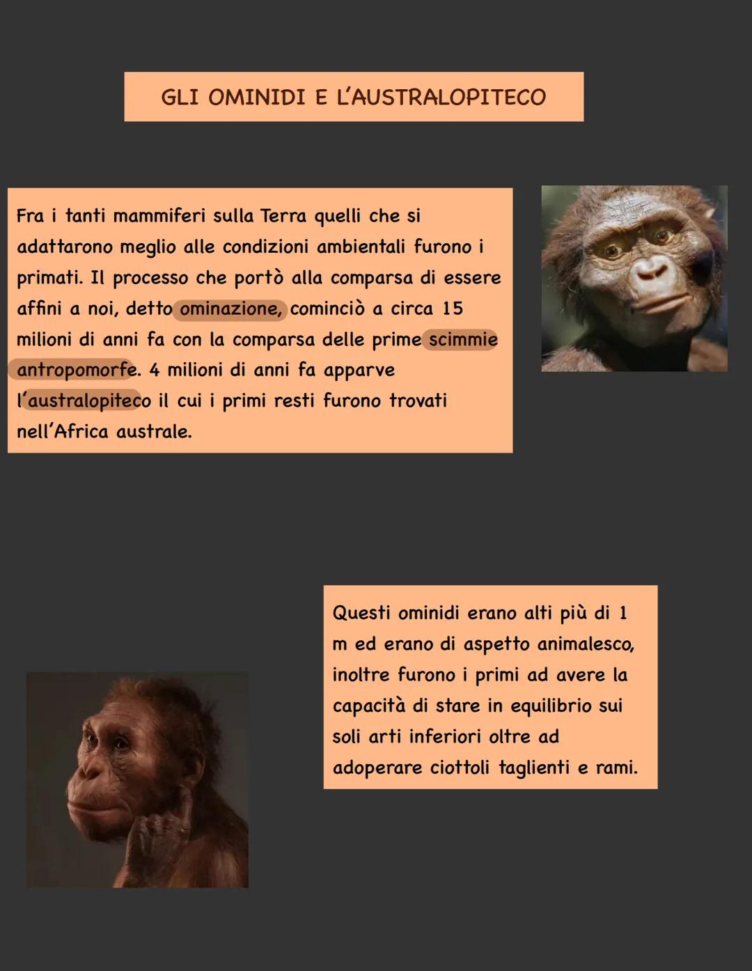 LA
PREISTORIA STORIA E PREISTORIA
L'evento che segna il passaggio dalla preistoria
alla storia è l'invenzione della scrittura intorno al
300