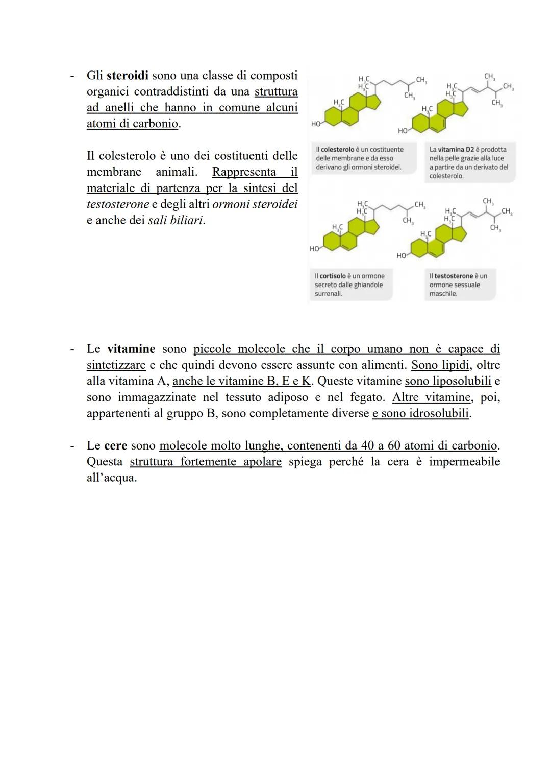 I LIPIDI
LE CARATTERISTICHE E LE FUNZIONI DEI LIPIDI
I lipidi sono biomolecole apolari e insolubili in acqua che contengono prevalentemente