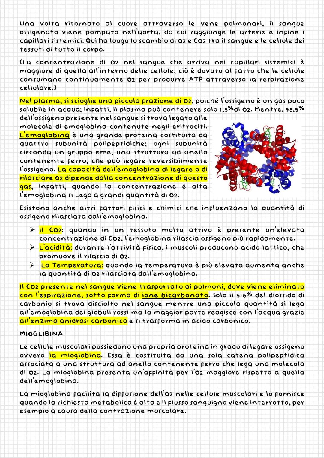 L'APPARATO
RESPIRATORIO
Naso
La
cavità
nasali
Laringe
Faringe
Funzione
dell'apparato
respiratorio dei mammiferi è rifornire
l'organismo di o