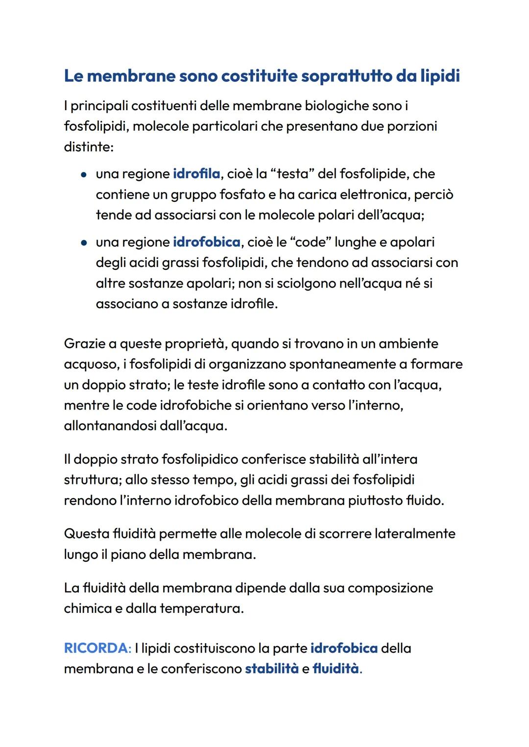 # Struttura della membrana
## Il modello a mosaico fluido
le cellule sono delimitate da membrane biologiche che
condividono la medesima or