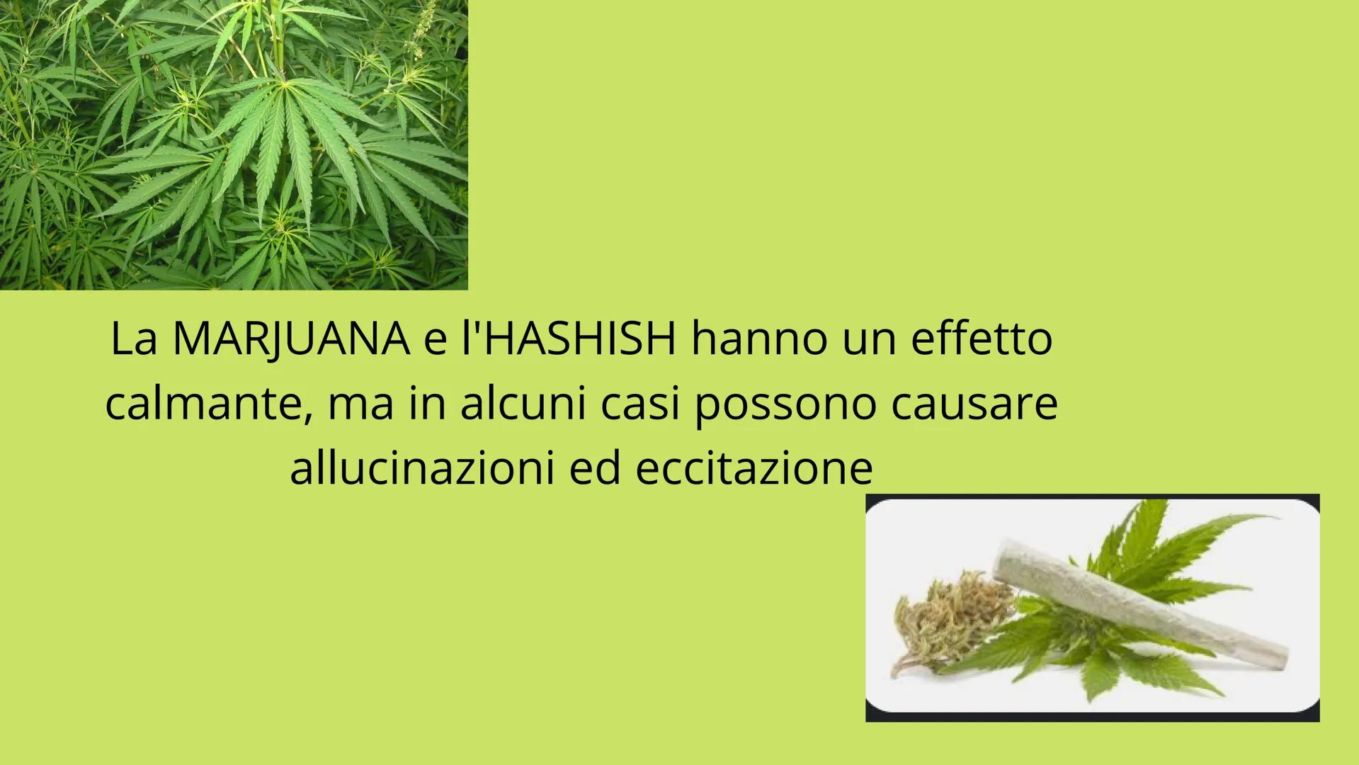 # LE DROGHE Ragazzi e adulti ormai fanno un uso eccessivo delle groghe,
che è pari al 29% in quest'ultimo anno. Queste sostanze
vengono assi