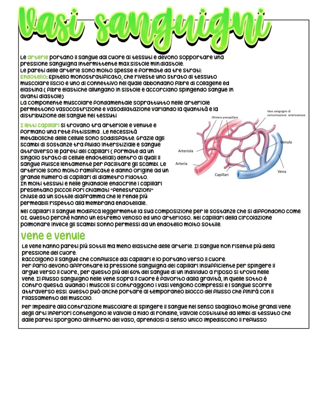 # Apparap cardiovascolare
L'apparato cardiovascolare ha il compito di trasportare i materiali nel
sangue da e verso tutte le regioni del co