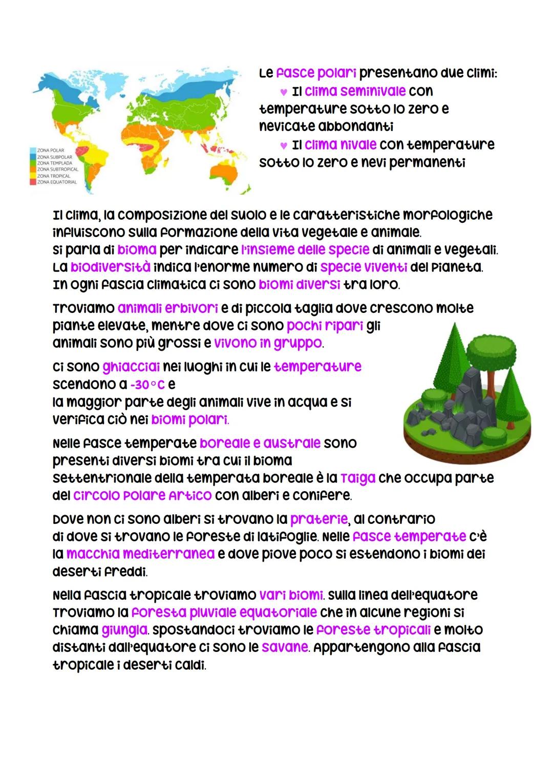 I climi della Terra
La latitudine ci aiuta ad individuare le 5 fasce climatiche della Terra:
La fascia tropicale è compresa tra il Tropico d