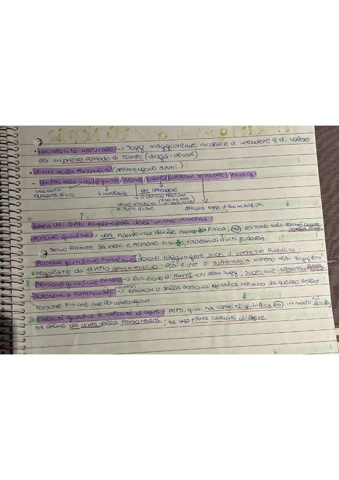 principi generali diritto