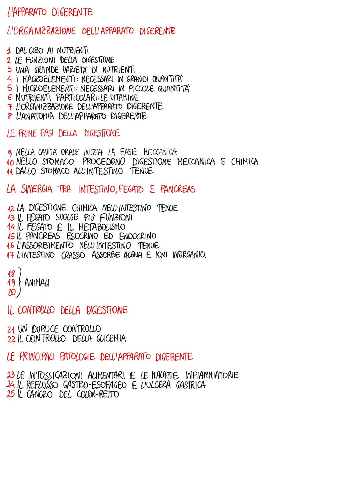 # APPARATO DIGERENTE
ORGANIZZAZIONE DELL'APPARATO DIGERENTE
1 L'apparato digerente fornisce all'organismo tutti i nutrienti di cui ha biso