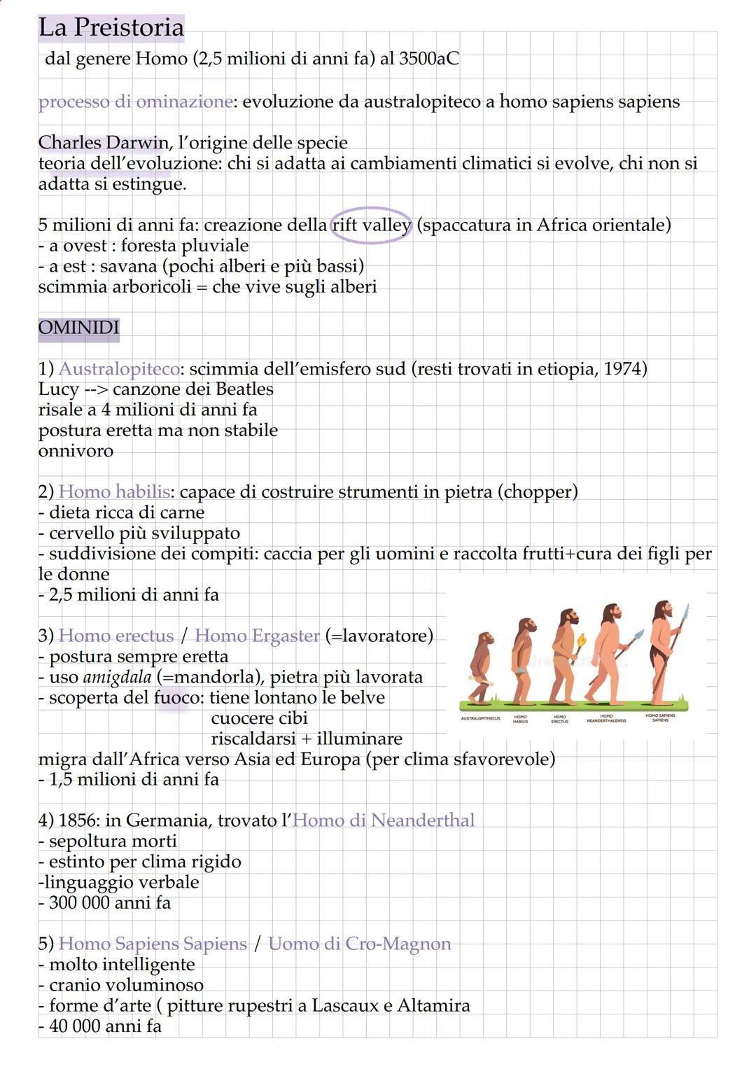 La Preistoria
dal genere Homo (2,5 milioni di anni fa) al 3500aC
processo di ominazione: evoluzione da australopiteco a homo sapiens sapiens