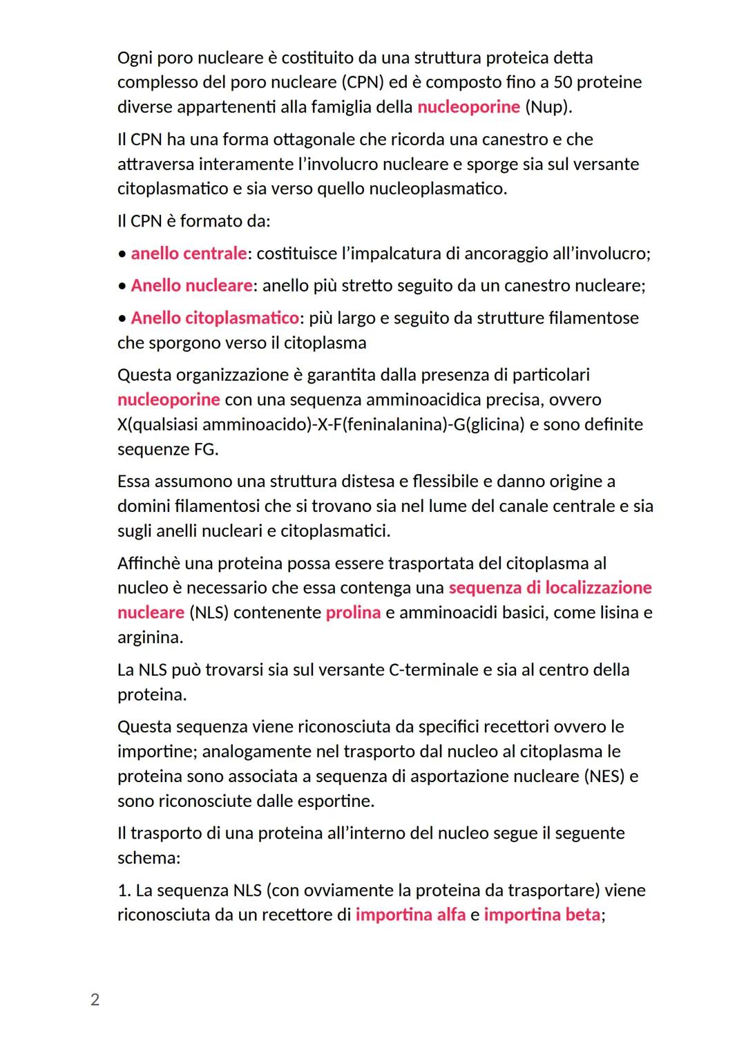 # Nucleo cellulare
Nella cellula eucariote il nucleo rappresenta l'organulo più grande:
- ha una forma rotondeggiante
- si trova generalme