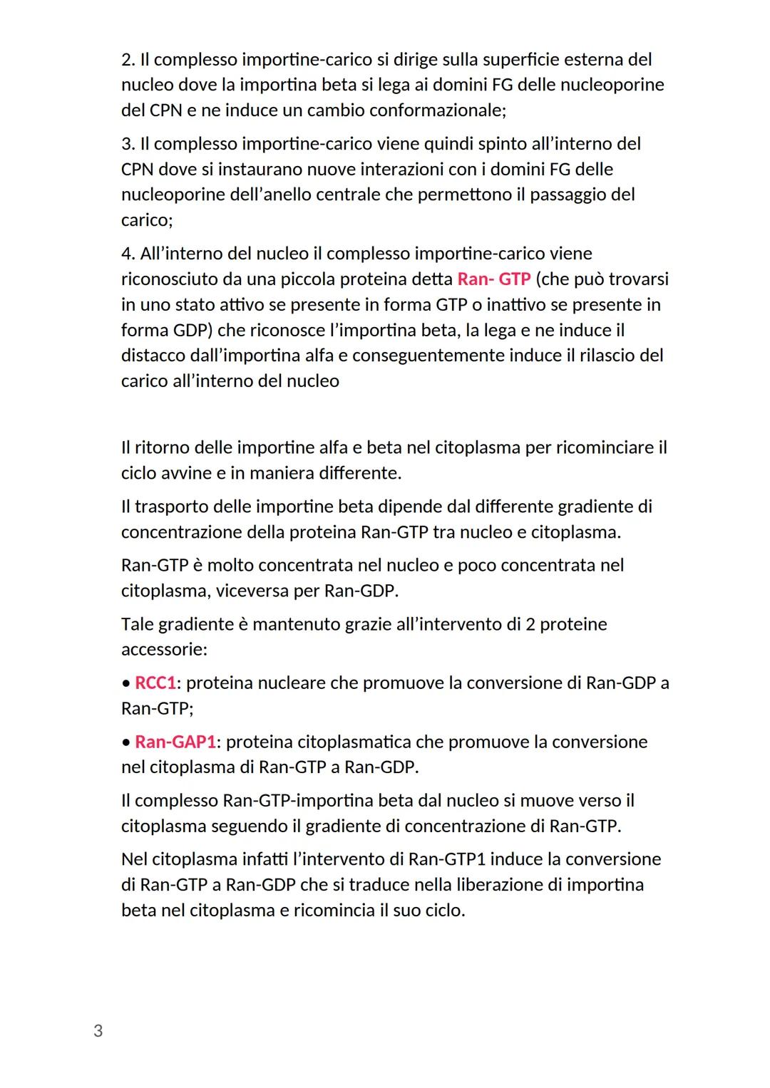 # Nucleo cellulare
Nella cellula eucariote il nucleo rappresenta l'organulo più grande:
- ha una forma rotondeggiante
- si trova generalme