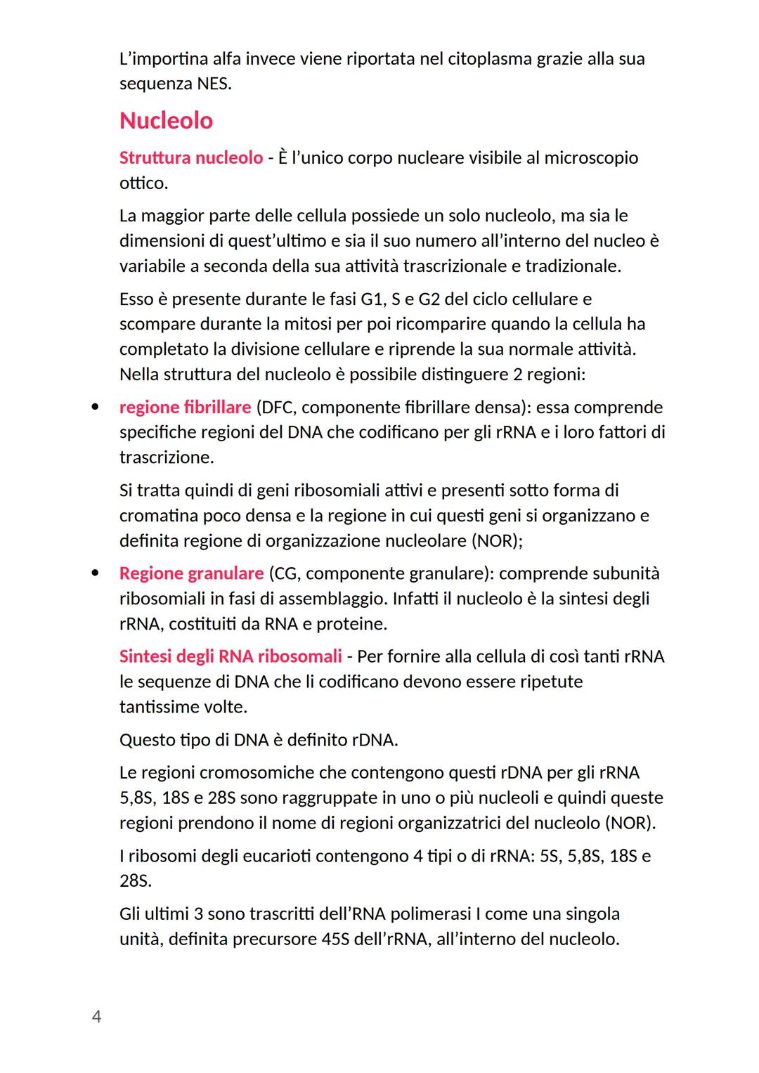 # Nucleo cellulare
Nella cellula eucariote il nucleo rappresenta l'organulo più grande:
- ha una forma rotondeggiante
- si trova generalme