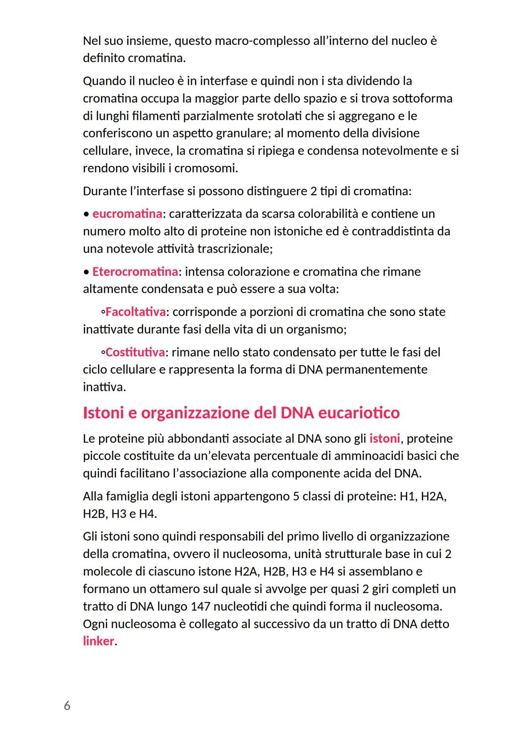 # Nucleo cellulare
Nella cellula eucariote il nucleo rappresenta l'organulo più grande:
- ha una forma rotondeggiante
- si trova generalme