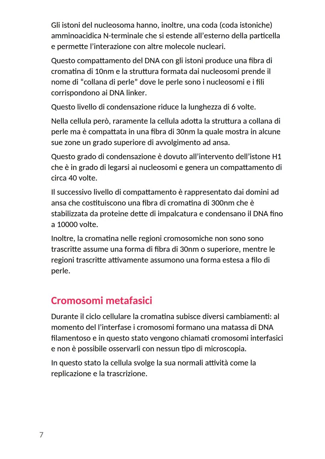 # Nucleo cellulare
Nella cellula eucariote il nucleo rappresenta l'organulo più grande:
- ha una forma rotondeggiante
- si trova generalme