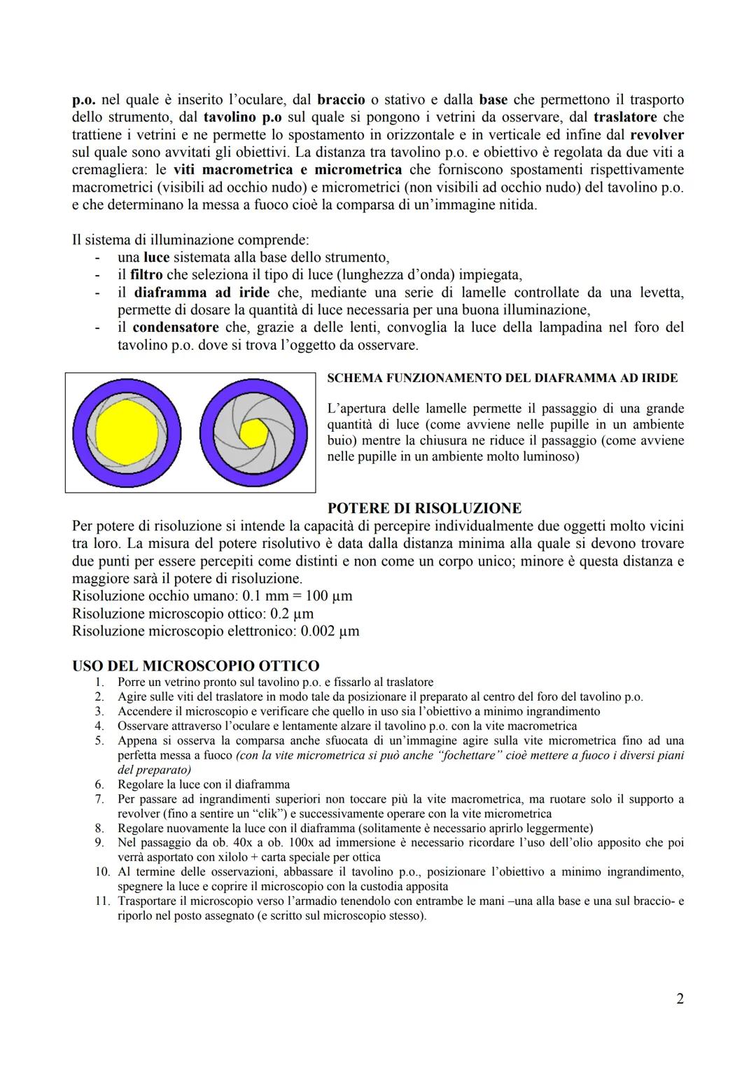 # IL MICROSCOPIO OTTICO COMPOSTO
Il microscopio ottico composto è uno strumento che, sfruttando le leggi dell'ottica, permette la
visione i