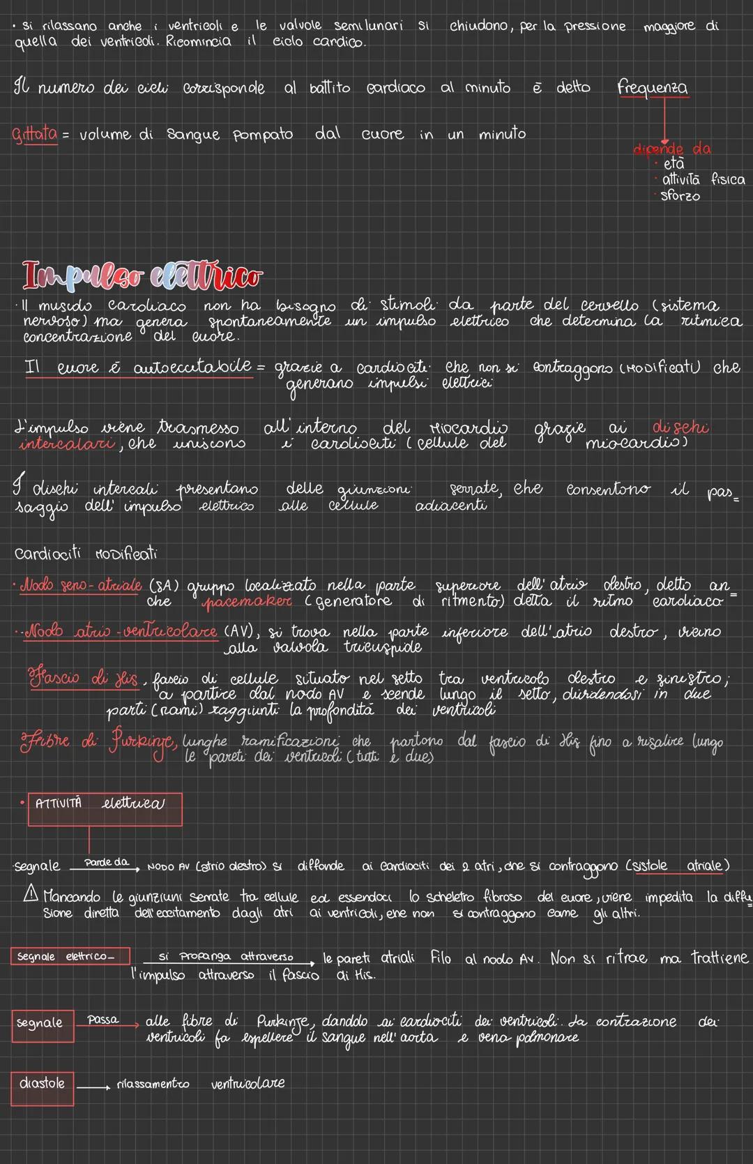 # L'apparato Cardiovascolare
vena cava
definizione
detto anche apparato circolatorio, è composto da
vasi sanguigni, cuore e sangue
atrio