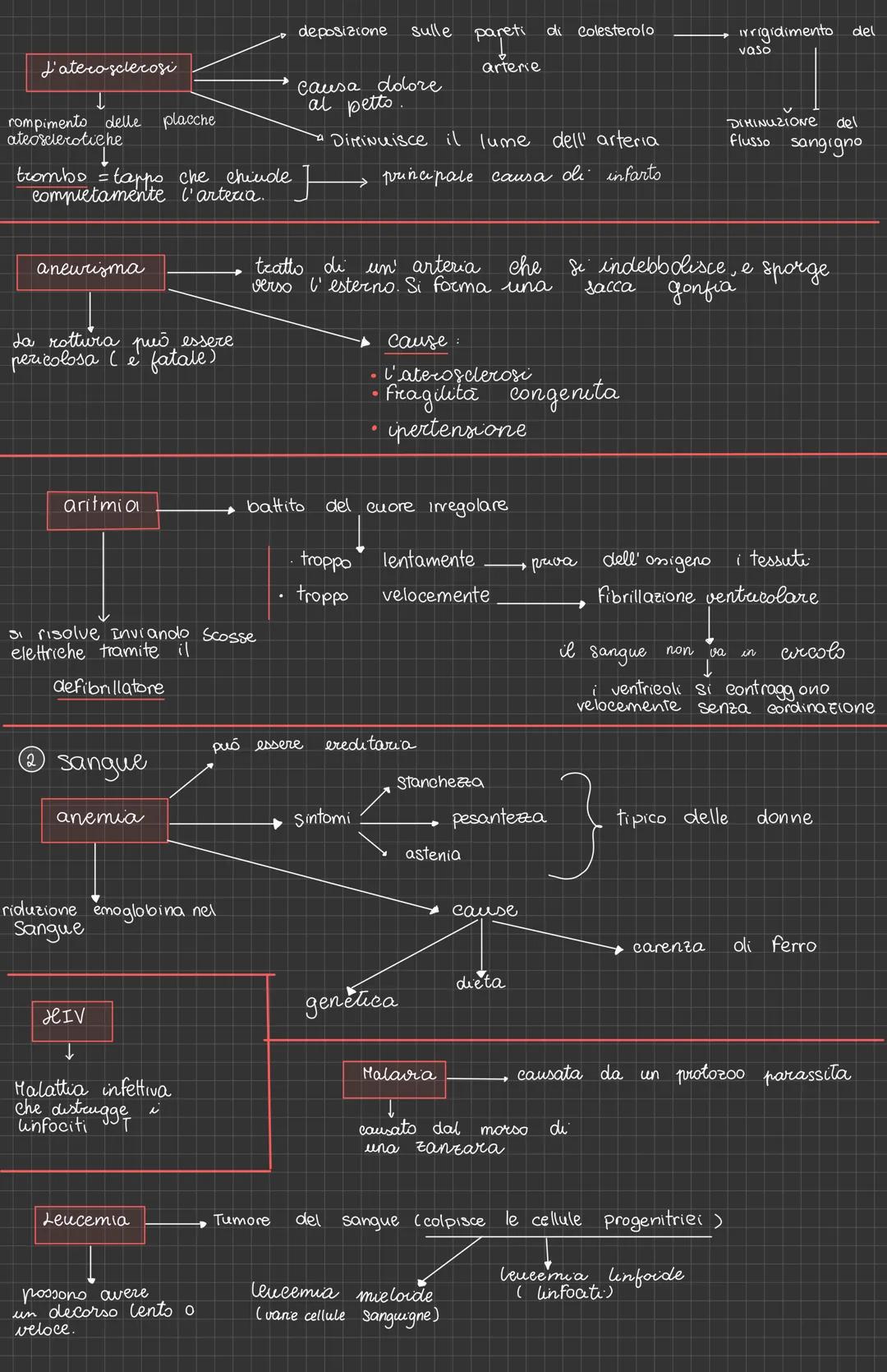 # L'apparato Cardiovascolare
vena cava
definizione
detto anche apparato circolatorio, è composto da
vasi sanguigni, cuore e sangue
atrio