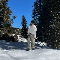 user profile picture