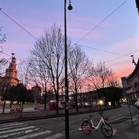 user profile picture