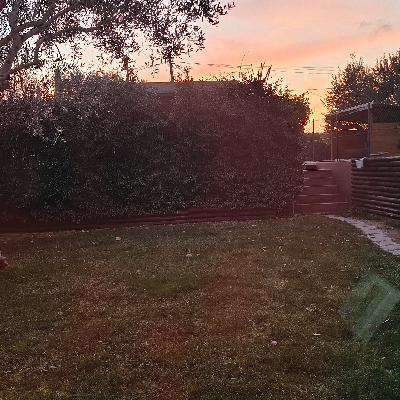 user profile picture