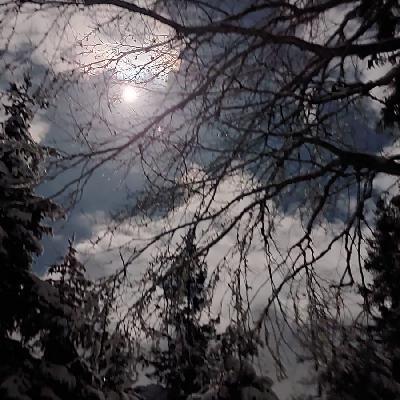 user profile picture