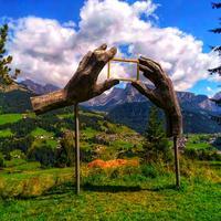 user profile picture